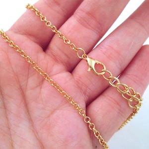 May include: A gold chain necklace with a lobster clasp closure. The chain is delicate and has a fine, cable-like design.
