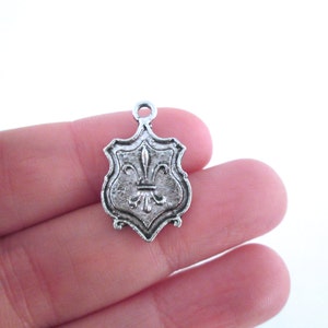 10 antique silver 24mm fleur de lys crest or plaque charms, fleur de lis pendants, C106