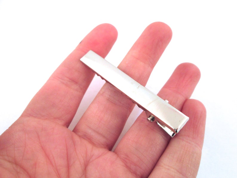 May include: A silver metal hair clip with a smooth, rectangular shape.