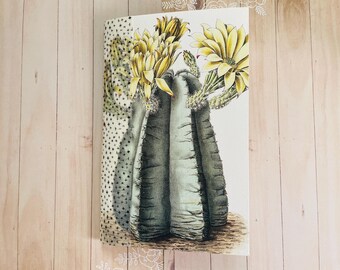 Botanical Journal