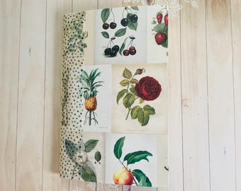 Botanical Journal