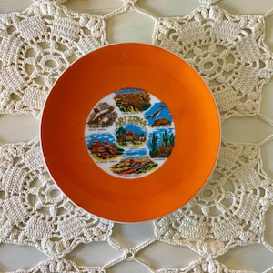 Vintage Orange Arizona Plate / Collectible State Plate / Souvenir Plate