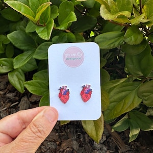 Anatomical Heart Stud Earrings: Lightweight Acrylic Nurse Jewelry image 1