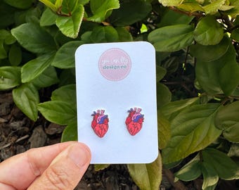 Anatomical Heart Stud Earrings: Lightweight Acrylic Nurse Jewelry
