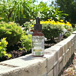 Boneset Tincture -Highly Potent