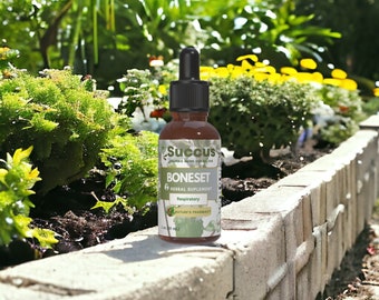 Boneset Tincture -Highly Potent