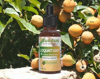 Loquat Leaf Tincture - Superior Quality