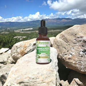 Chanca Piedra Tincture - Superior Quality