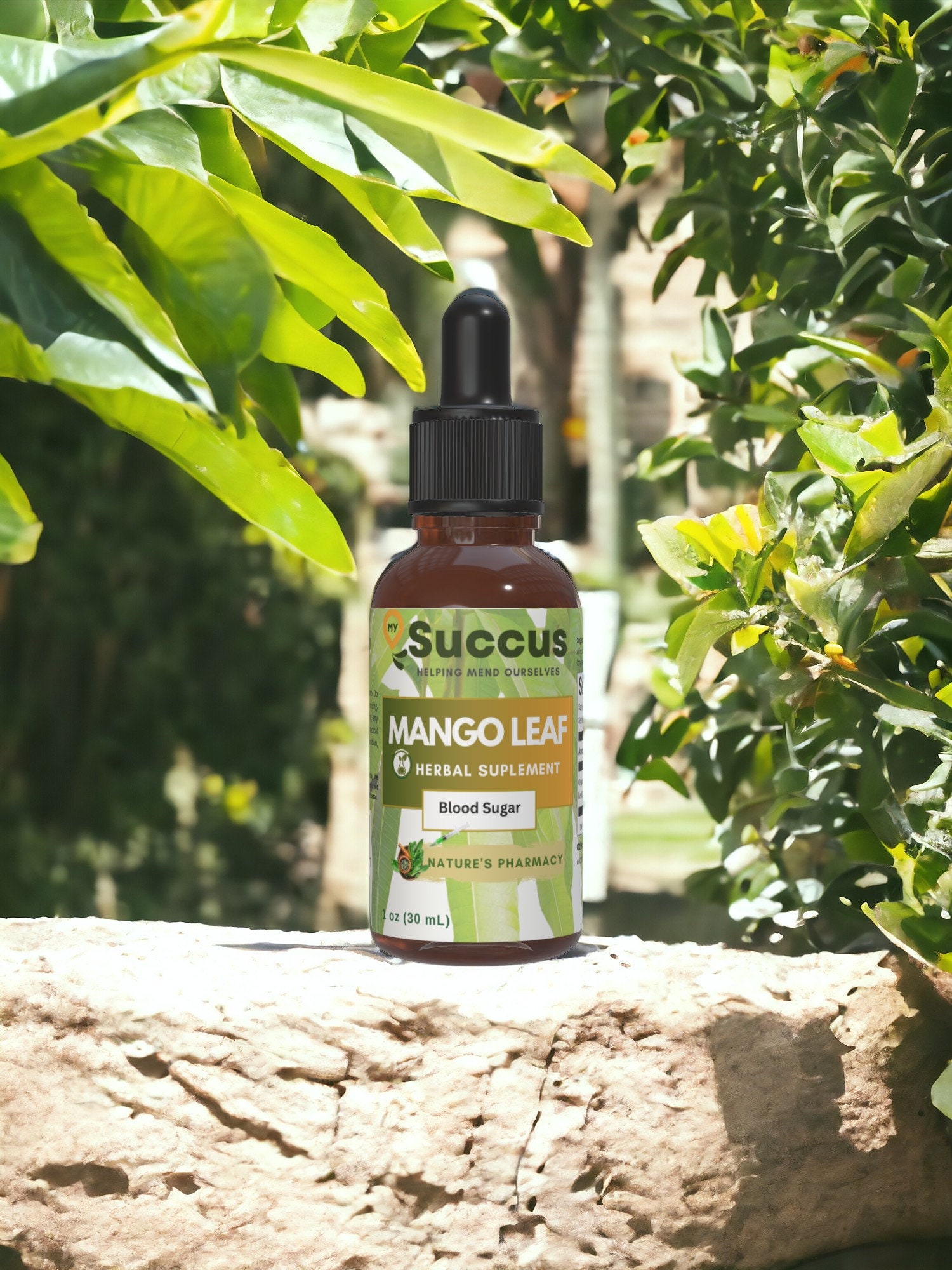 Mangoblatt-Tinktur - Wellness