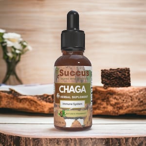 Tintura de Chaga - Altamente Potente