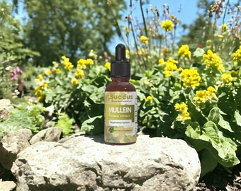 Mullein Tincture - Highly Potent