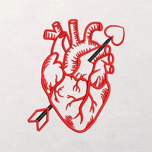 Puede incluir: Corazón anatómico bordado en rojo, atravesado por una flecha negra con punta en forma de corazón. El diseño está sobre un fondo de tela blanca. Las venas y arterias del corazón están detalladas.