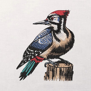 Pode incluir: Imagem bordada de um pica-pau empoleirado num tronco de árvore. A ave apresenta uma cabeça vermelha, asas azuis e pretas e um corpo castanho. O pica-pau é detalhado com várias cores e texturas, criando uma representação realista.