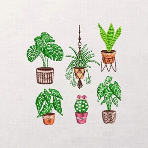 Può includere: Immagine ricamata di sei piante in vaso di vari stili. Le piante includono una monstera, una pianta sospesa, una sansevieria e un cactus. I vasi sono di diversi colori e stili, tra cui marrone, rosa e tessuto.
