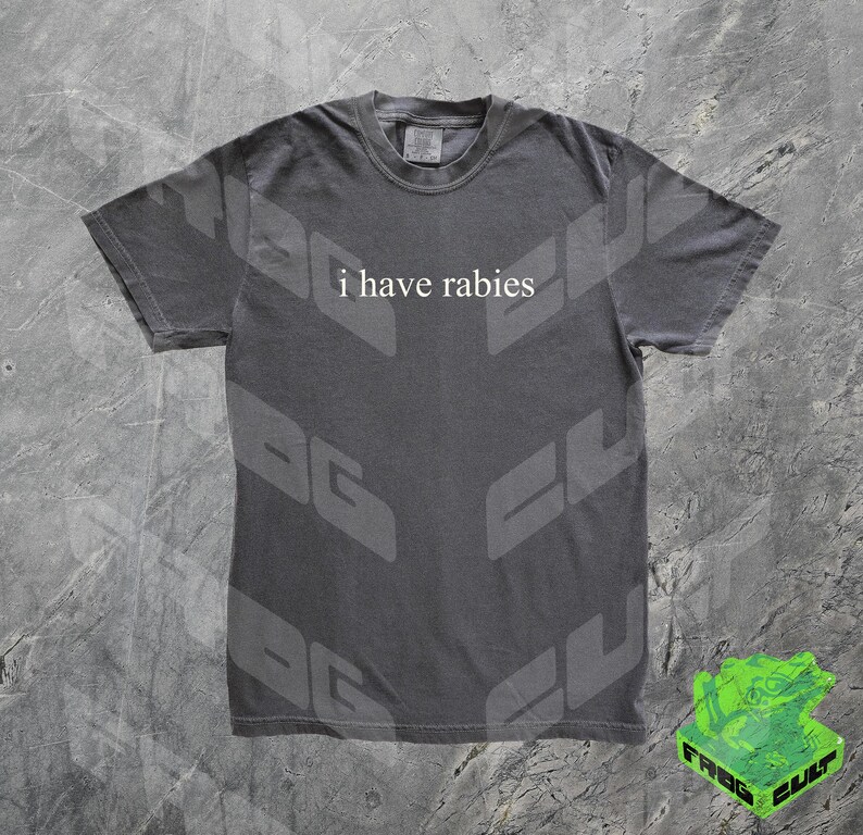 Może przedstawiać: Szary t-shirt z nadrukiem "i have rabies" na przodzie. T-shirt ma wyblakły, vintage'owy wygląd.