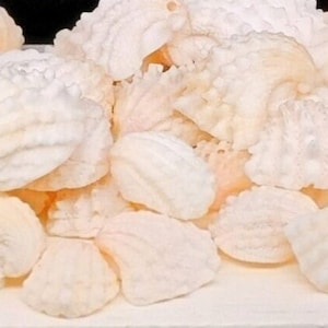 May include: A close-up of a pile of white meringue cookies. The cookies are arranged in a random pattern and are all different shapes and sizes.