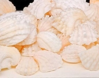 May include: A close-up of a pile of white meringue cookies. The cookies are arranged in a random pattern and are all different shapes and sizes.
