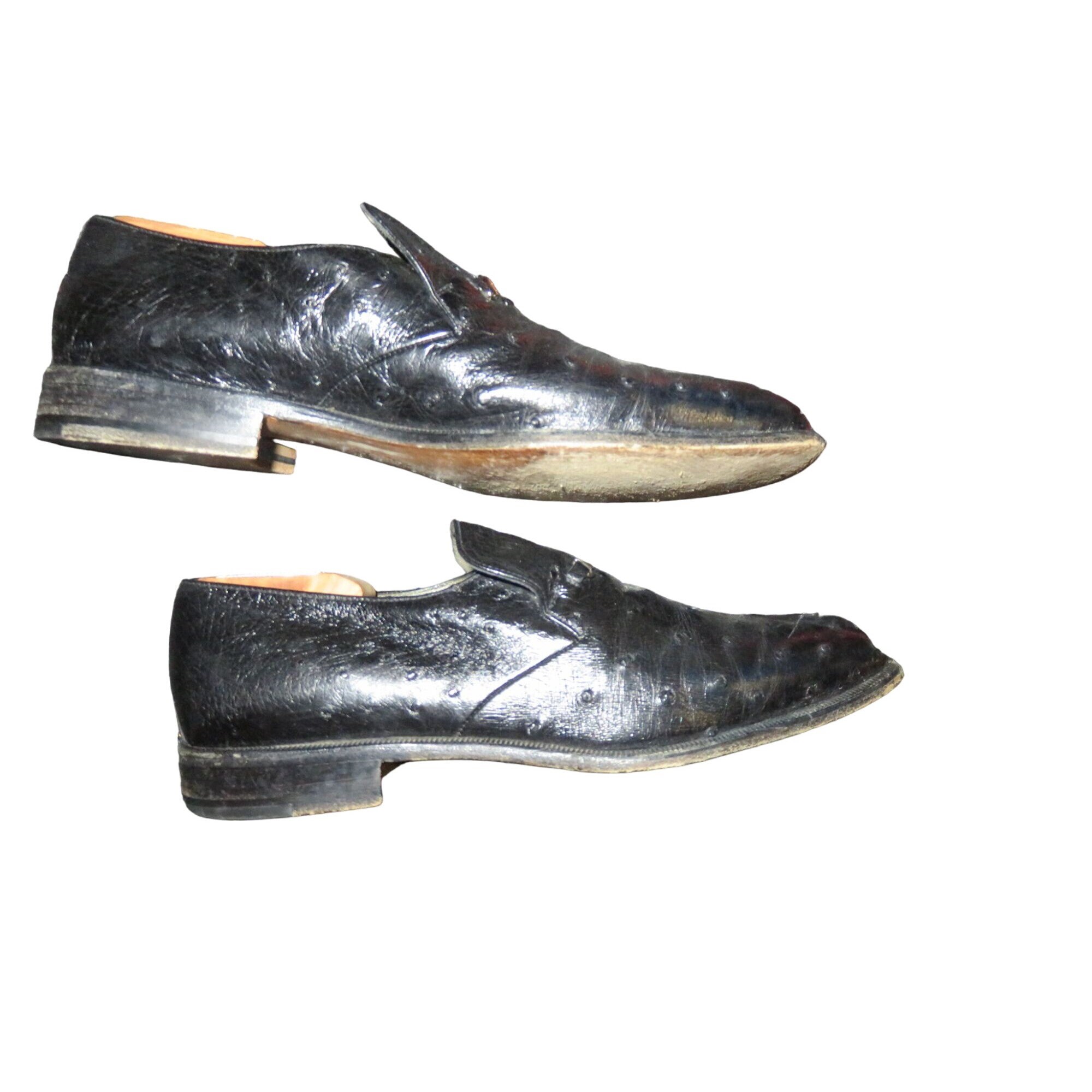 MORESCHI of Italy Genuine Ostrich Italian Leather Oxford 