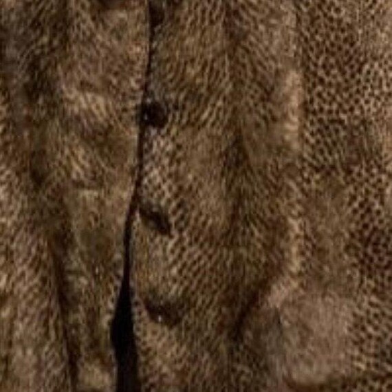 Albert Nipon Vintage Leopard two-piece power care… - image 5