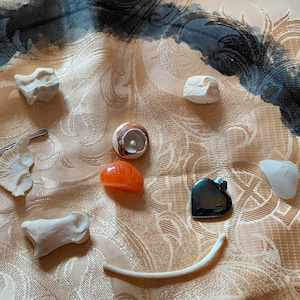 Osteomancy Reading | Bone Throwing Divination