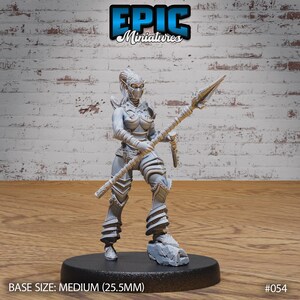 Dark Elf Gladiator Female 3d Print
