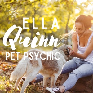 PET PSYCHIC - Głębokie odczyty psychiczne lub mediumiczne dla jednego zwierzęcia (żywego lub zmarłego) - Raport o komunikacji ze zwierzętami