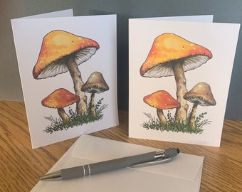 Botanical NOTECARDS MUSHROOMS TOADSTOOLS 12 Art Cards All Occasion Blank Inside Envelopes Hand Drawn Stationery