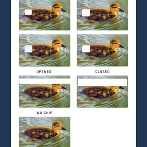 UTSKRIVBART Kredit-/Bankkortsskinn, Från Originalmålning, Ung Anka Simmar, Tryck och Klipp, Kommersiellt Bruk bild 2