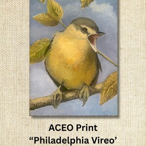 Impression ACEO, VIREO de Philadelphie, oiseau, carte à collectionner d'artiste, petite impression d'art, carte d'art, art animalier, peinture, objet de collection