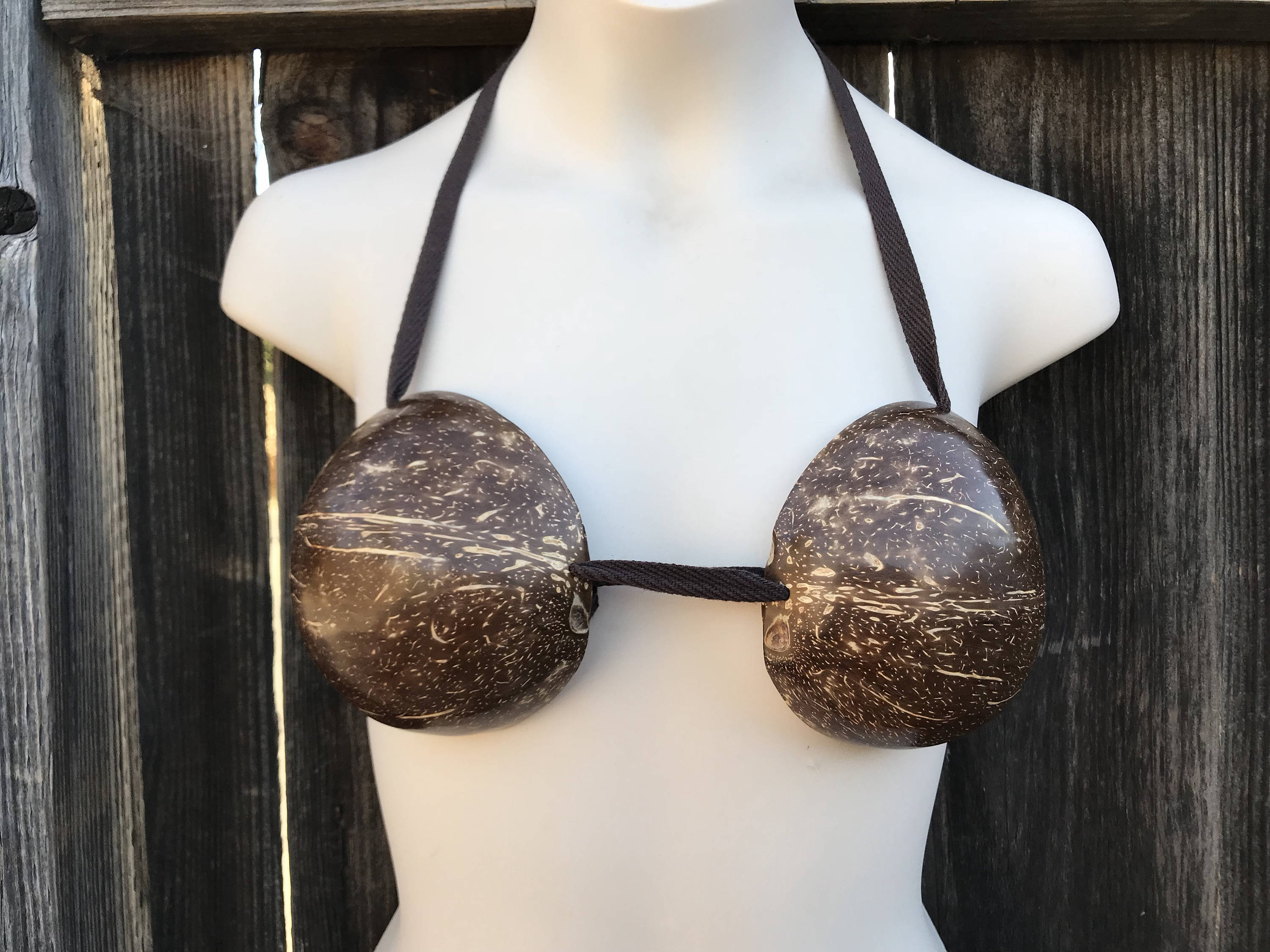 Coconut braAdult small Medium size coco Polynesian Etsy