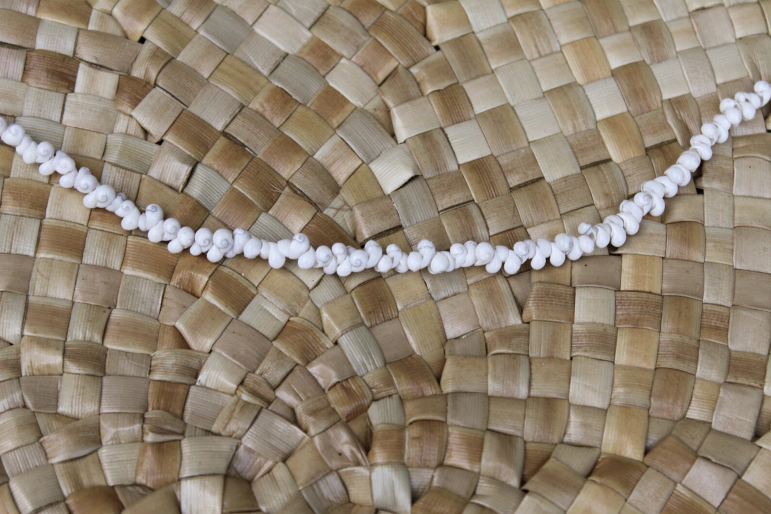 Mongo Shell Lei Single Strand Mung Shells Green Yellow or Etsy