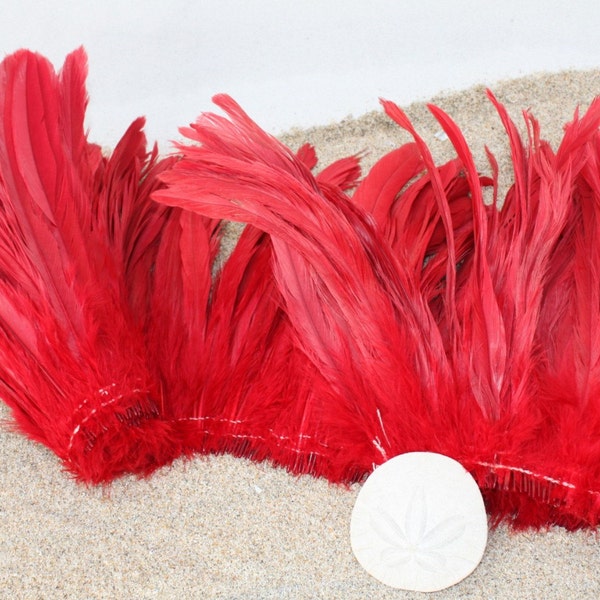 Rooster coque feathers 8-10 inch length color red- dyed over natural bleached, Tahitian costume supply
