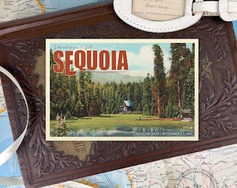 Può includere: Una carta "save the date" rettangolare con un'illustrazione in stile vintage di un paesaggio boschivo, il testo "SEQUOIA" in grandi lettere rosse e "SAVE THE DATE | SEPTEMBER 5-7, 2026" in basso, appoggiata su una superficie in pelle marrone.