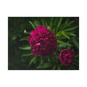 Purple Flower Canvas