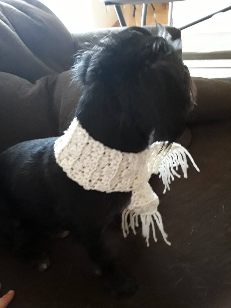 choose your color Dapper Pupper Scarf