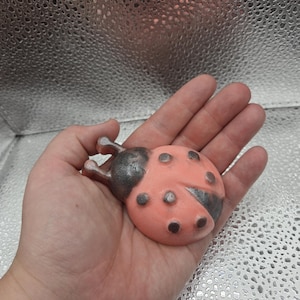 May include: A pink and black ladybug shaped soap. The ladybug has black spots and a silver sheen.