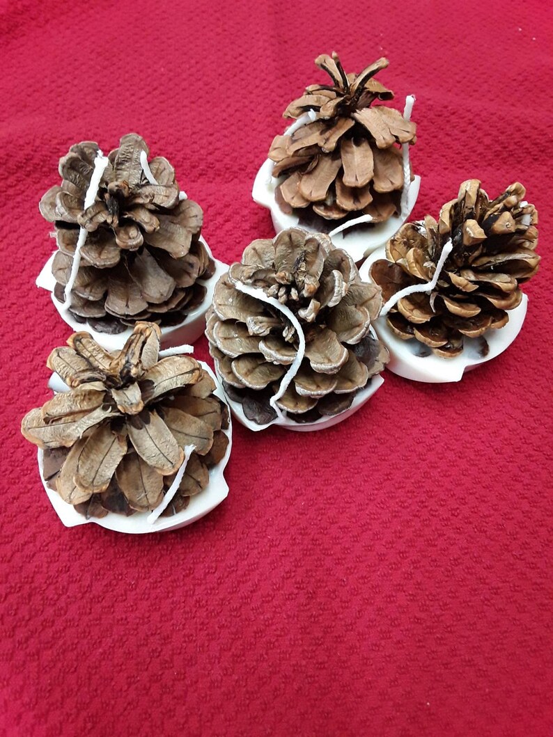 Pinecone fire starters Etsy