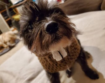 Bidoof dog or cat sweater - choose your size