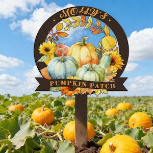 May include: A brown metal sign in a pumpkin patch, with the text "MOLLY'S" and "PUMPKIN PATCH". The sign has a circular design with pumpkins, sunflowers, and autumn leaves. The background shows a field of pumpkins under a blue sky.