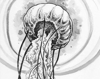 Jellyfish black and white 5x7 fine art wall print - by Bryan Collins