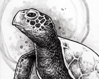 Sea Turtle black and white fine art cotton 5x7 print - by Bryan Collins