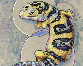 Leopard Gecko Morph small 5x7 fine art wall print - by Bryan Collins