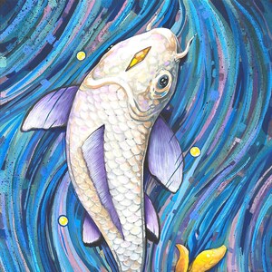 The White Koi fish fine art wall print - by Bryan Collins