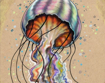 Colorful Jellyfish Nautical fine art wall print - by Bryan Collins