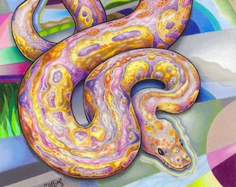 Ball Python bunt Schlange Reptil Wandbild - von Bryan Collins Art