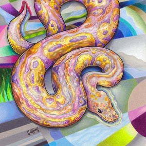 Puede incluir: Ilustración colorida de una serpiente con un diseño estampado en tonos amarillos, morados y naranjas. La serpiente está enroscada, con la cabeza visible, sobre un fondo de formas y colores geométricos.