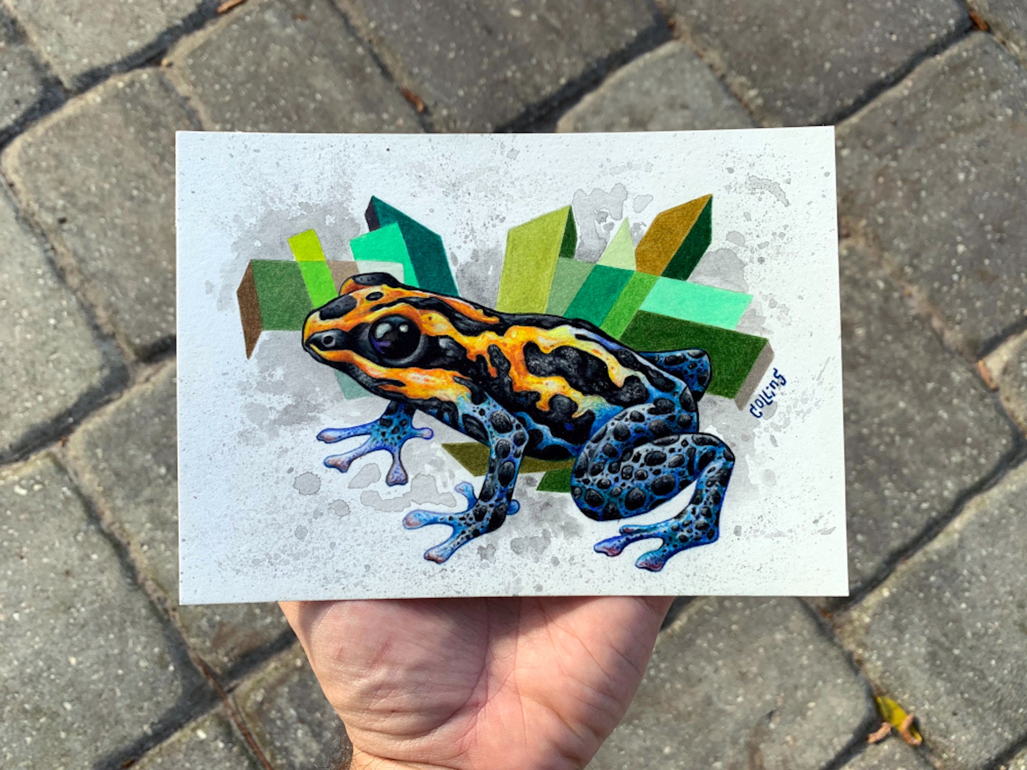 Poison Dart Frog Amphibian Colorful Wall Art 5x7 Signed Print - by