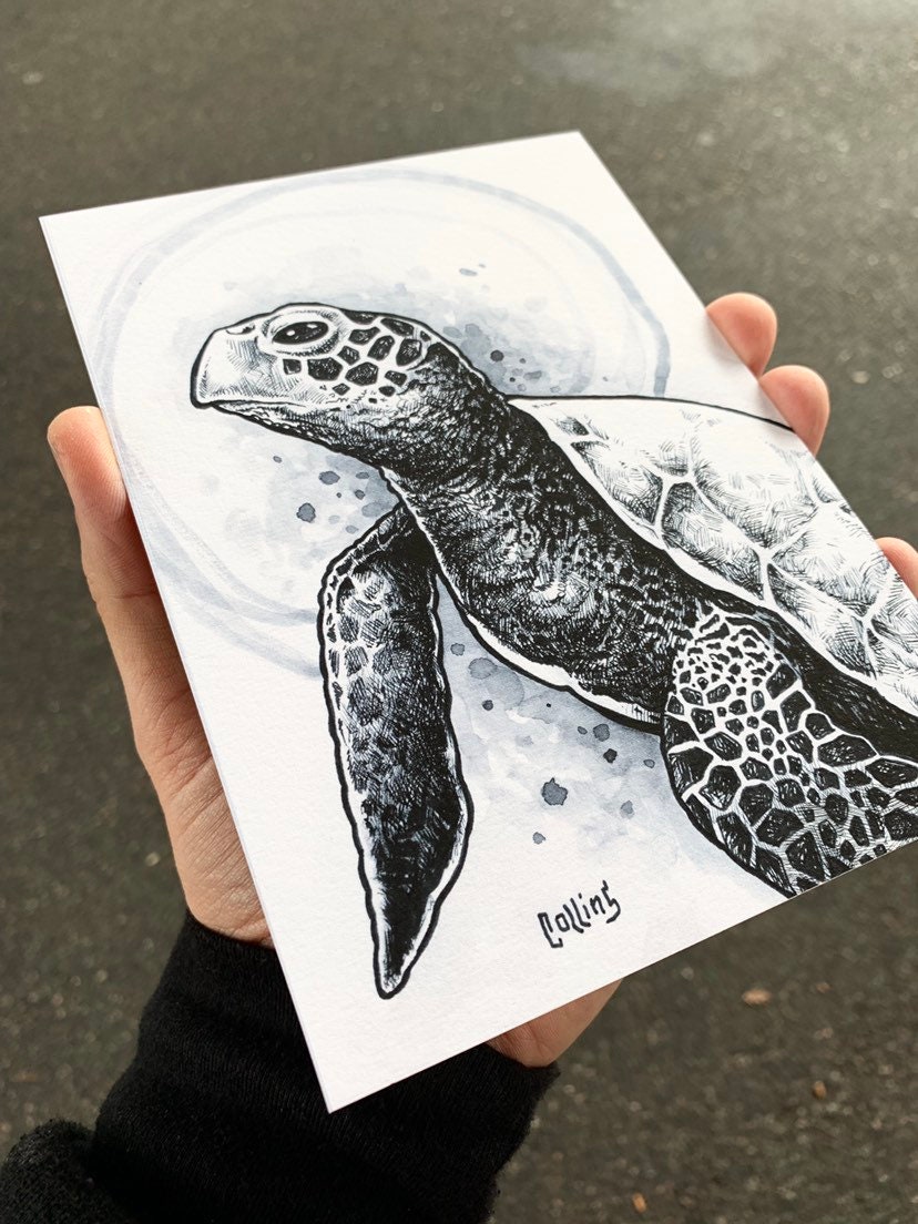Sea Turtle Black and White Fine Art Cotton 5x7 Print by | Etsy