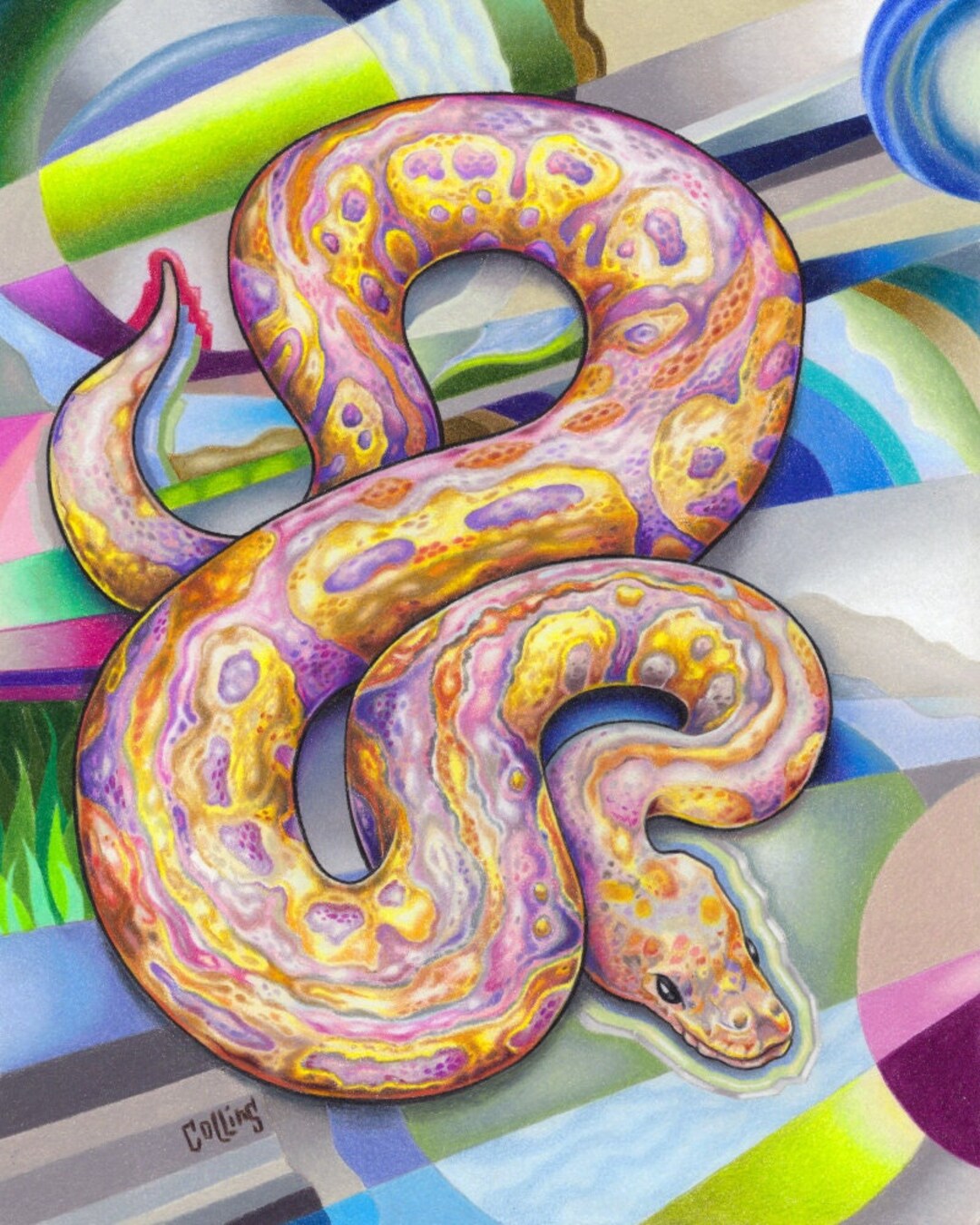Ball Python Colorful Snake Reptile Wall Print - by Bryan Collins Art - Etsy
