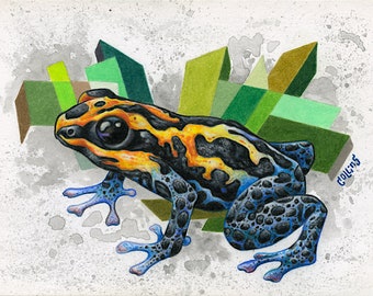 Poison Dart Frog Wandkunst 5x7 signierter Druck - von Bryan Collins
